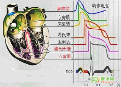 室内传导阻滞